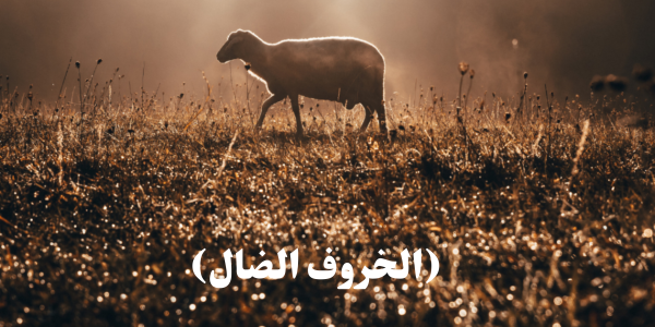 مثل الخروف الضال