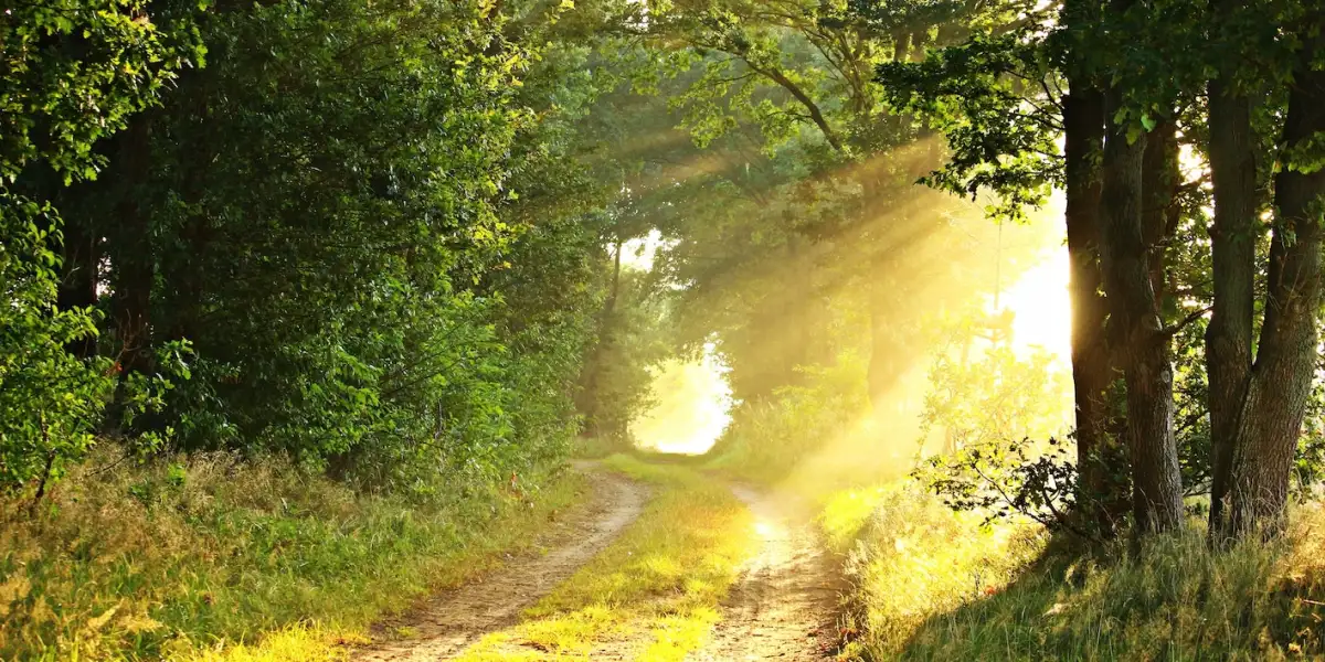 القيامة من الاموات